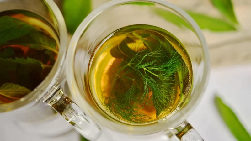 Teekanne Herbata Organiczna Ziołowy Ogród Szałwia Lekarska
