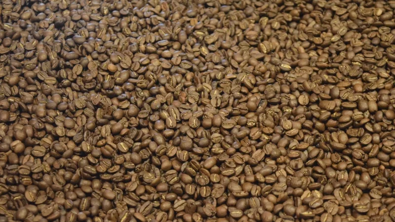 Tommy Cafe Kawa Ziarnista Smakowa Malibu 70g