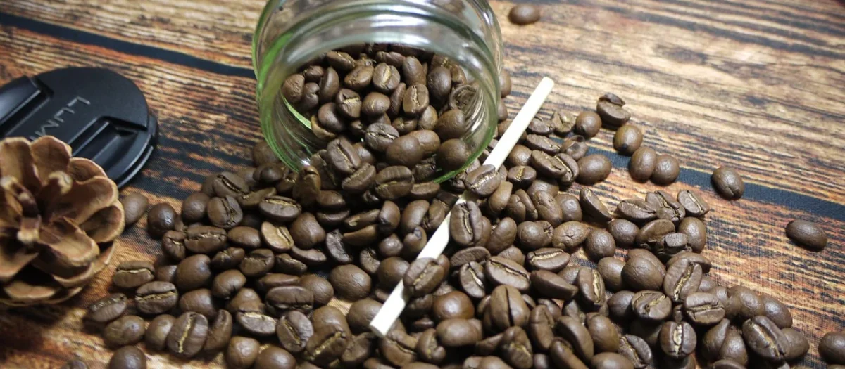 Trung Nguyen Kawa rozpuszczalna Legend Cappucino Coconut 216g
