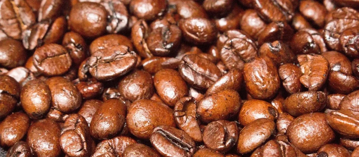 Venetto 100% Arabika Kawa Świeżo Palona 250g
