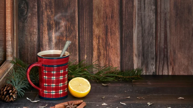 Yogi Tea Christmas Tea Herbata Swiąteczna Bio x17