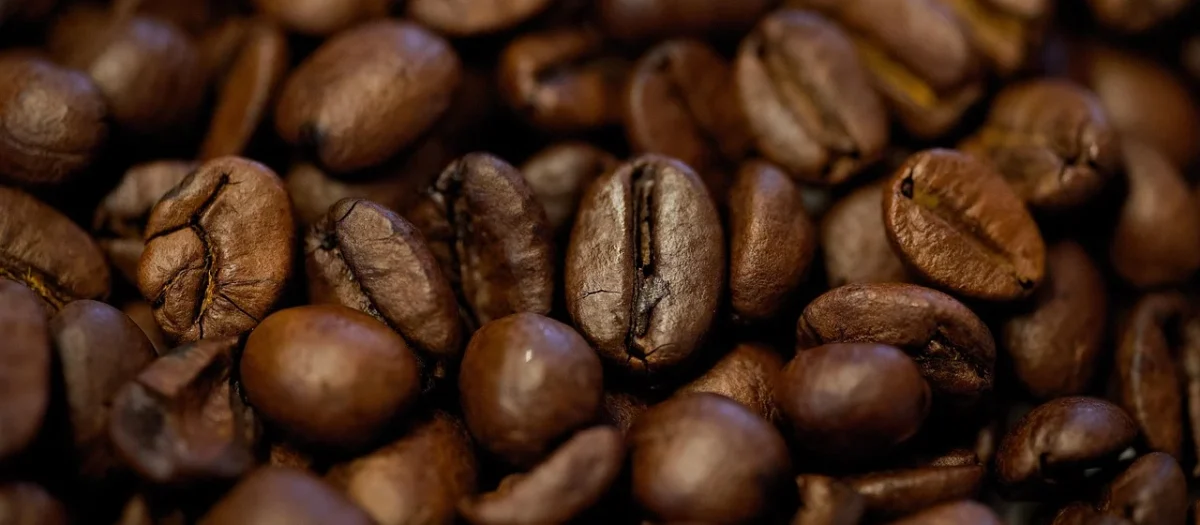 Zestaw 4Kg Kawy Brazylia Sweet Espresso