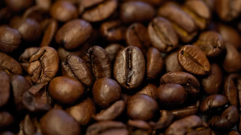 Zestaw 4Kg Kawy Brazylia Sweet Espresso