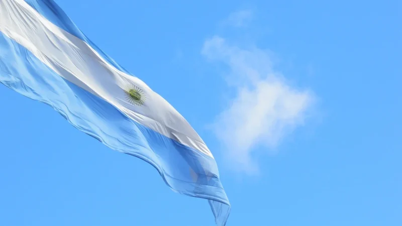 Zestaw Tykwa Celeste Yerba Verde Mate Green 05Kg