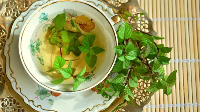 Zielona Earl Grey fantasy (Pakowanie ozdobne, Torebka transparentna 50g)
